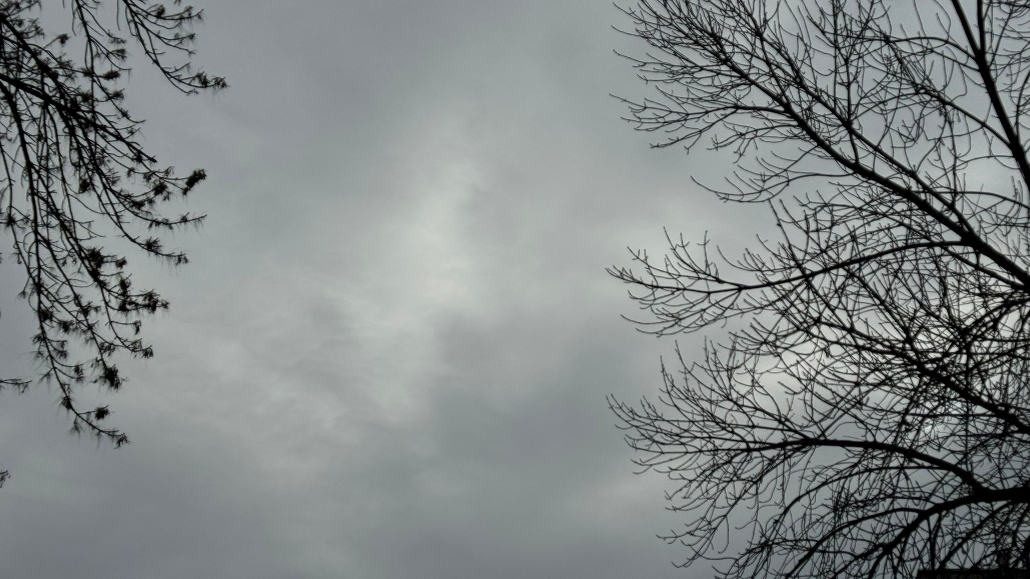 Холодный фронт идёт на запад: штормовой ветер и похолодание 7 ноября